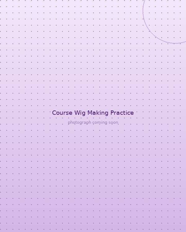 Machine Wig Making class practice