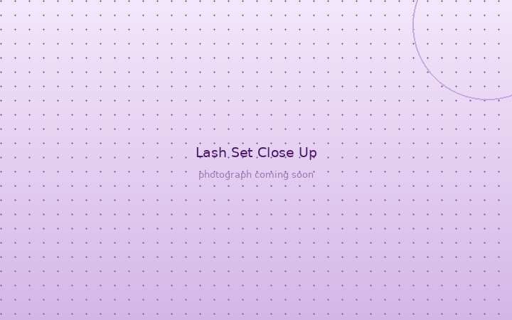 Lash set close-up